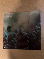 Steely Dan ‘Katy Lied’, Ophalen of Verzenden, 1960 tot 1980, Gebruikt, 12 inch