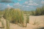 CALLANTSOOG Duinlandschap, Verzamelen, Verzenden, 1980 tot heden, Gelopen, Noord-Holland