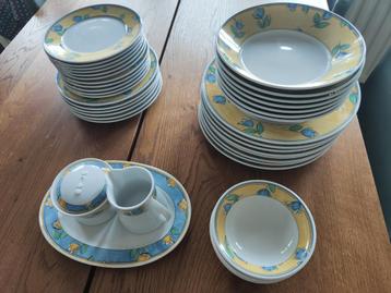 Tulips servies (incompleet) (beschikbaar per eind augustus) beschikbaar voor biedingen