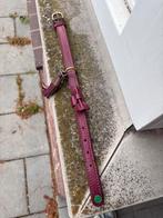 DWAM halsband - maat XS, Verzenden, Zo goed als nieuw