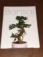 Bonsai Martina Hop nieuwstaat, Ophalen of Verzenden, Zo goed als nieuw