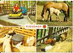 Ansichtkaart	Biddinghuizen	Flevohof	4-luik, Verzamelen, Ansichtkaarten | Nederland, Verzenden, 1980 tot heden, Gelopen, Flevoland