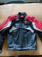 Ducati lederen motorjas, Motoren, Kleding | Motorkleding, Ophalen, Dainese, Dames, Jas | leer