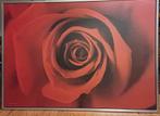 schilderij van een roos ikea, Antiek en Kunst, Ophalen