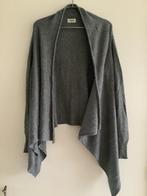 Anna van Toor vest maat S, Anna van Toor, Verzenden, Zo goed als nieuw, Maat 36 (S)