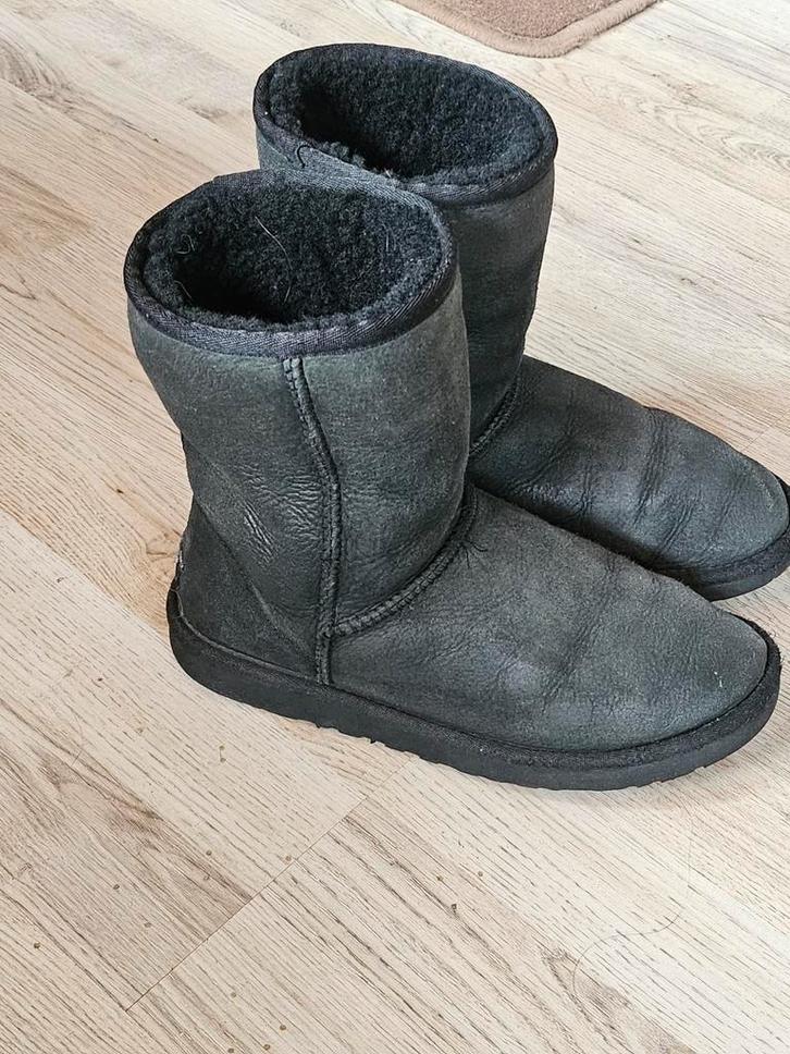 Zwarte Ugg Classic Short - Maat 37, Kleding | Dames, Schoenen, Gedragen, Lage of Enkellaarzen, Zwart, Ophalen of Verzenden