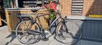 Gazelle fuente, 57 tot 61 cm, Ophalen of Verzenden, Zo goed als nieuw, Gazelle