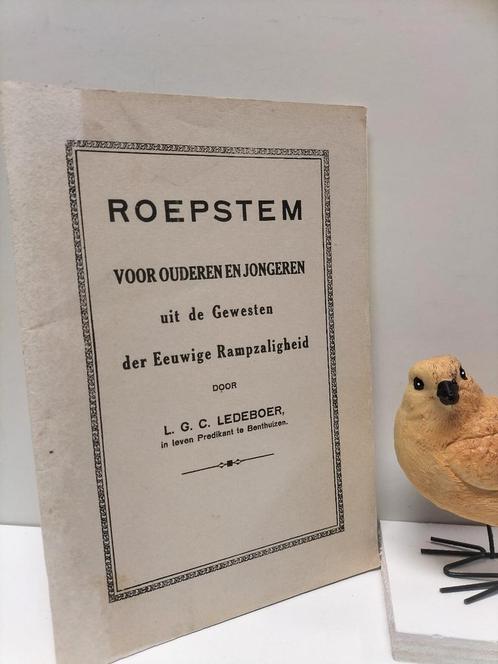 Ledeboer, Ds. L.G.C.; Roepstemmen, Boeken, Godsdienst en Theologie, Gelezen, Christendom | Protestants, Ophalen of Verzenden