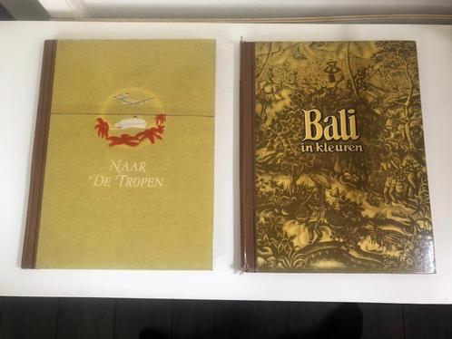 B538 DE Douwe Egberts Naar de Tropen Bali in kleuren, Boeken, Prentenboeken en Plaatjesalbums, Gelezen, Plaatjesalbum, Ophalen of Verzenden