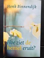 Henk Binnendijk - Hoe ziet de hemel eruit?, Ophalen of Verzenden, Henk Binnendijk