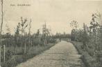 (701-216-049) Bolsward Park, Ophalen of Verzenden, Friesland