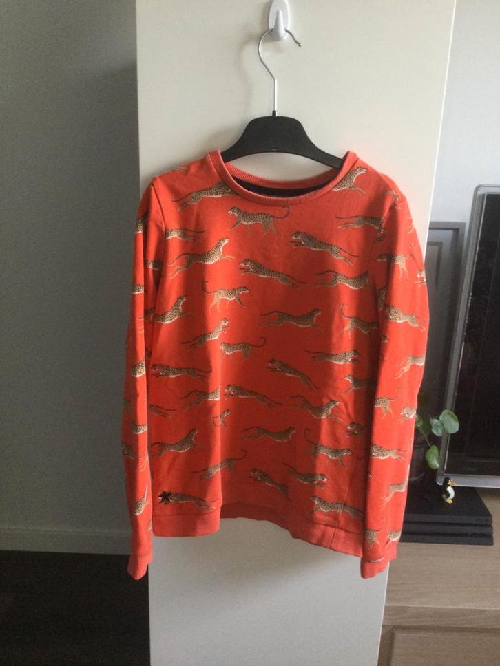 Trui van WE maat 146-152, Kinderen en Baby's, Kinderkleding | Maat 146, Gebruikt, Meisje, Trui of Vest, Verzenden