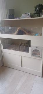 Caviaflat, Dieren en Toebehoren, Ophalen, 90 cm of meer, Hok, Cavia