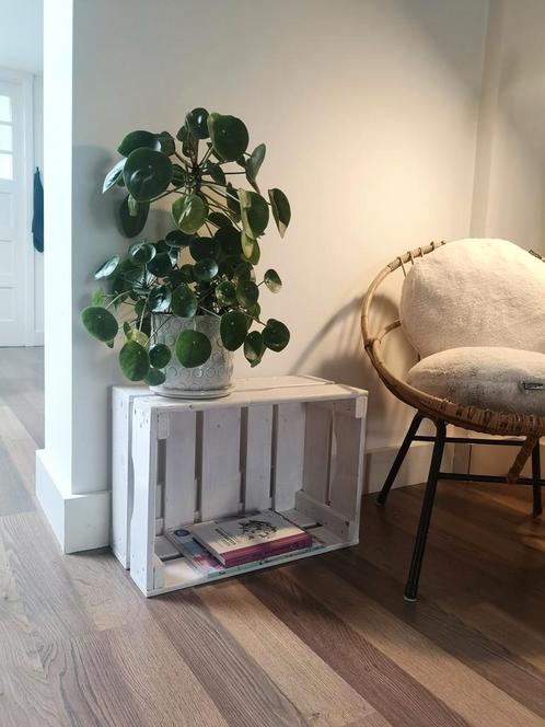 houten kistjes wit 2x / tafeltje / schoenenkastje, Huis en Inrichting, Woonaccessoires | Kisten, Gebruikt, Minder dan 50 cm, Minder dan 50 cm