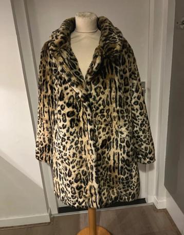 Tijger jas maat 42 beschikbaar voor biedingen