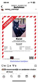 Vermist Karel - Capelle aan den IJssel, Dieren en Toebehoren