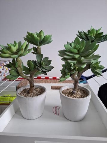 kunst planten in pot