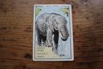 Oude vintage spel kwartet kaart wilde dieren de Olifant, Wild dier, Overige typen, Ophalen of Verzenden