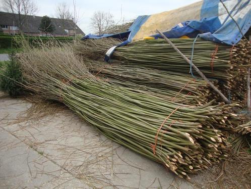 Wilgentenen., Tuin en Terras, Tuinhekken en Hekwerk, Nieuw, Overige typen, Hout, Ophalen