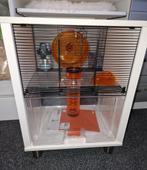 Hamsterkooi, Minder dan 75 cm, Zo goed als nieuw, Ophalen, Minder dan 60 cm