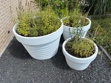 3 Grote stenen bloempotten beschikbaar voor biedingen