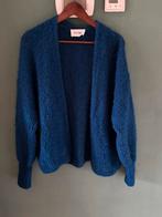 American Vintage vest, Kleding | Dames, Truien en Vesten, Ophalen of Verzenden, Zo goed als nieuw, Maat 38/40 (M), Blauw