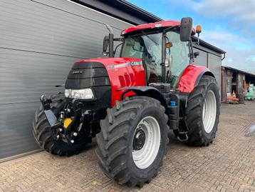CASEIH PUMA 160cvx beschikbaar voor biedingen
