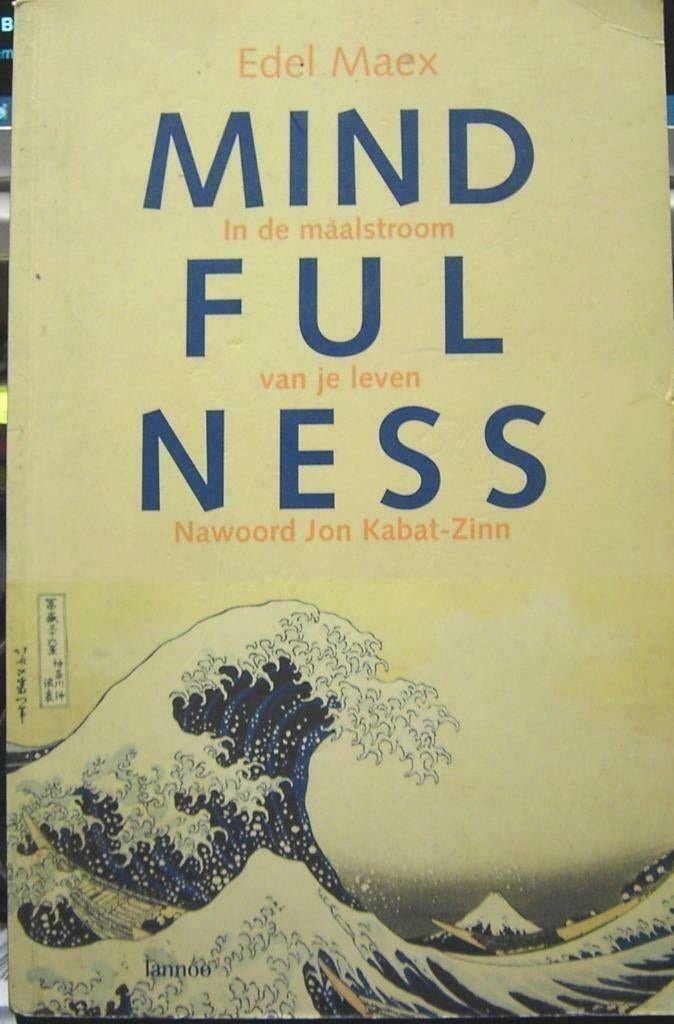 Mindfulness, Edel Maex, Verzenden, Zo goed als nieuw, Spiritualiteit algemeen, Overige typen