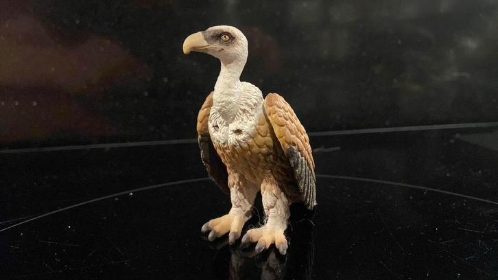 Schleich Wildlife: Kopgier, Verzamelen, Dierenverzamelingen, Zo goed als nieuw, Beeldje of Figuurtje, Paard, Ophalen of Verzenden