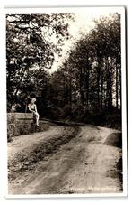Wesepe, Malbergerbrug, Verzamelen, Ansichtkaarten | Nederland, Verzenden, 1940 tot 1960, Gelopen, Overijssel