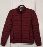 America Today jack bordeaux rood maat S, Kleding | Dames, Jassen | Zomer, Ophalen of Verzenden, America Today, Zo goed als nieuw