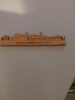 Nieuw-Buinen Skyline Houten Decoratie 1823-2023, Ophalen of Verzenden, Nieuw