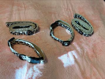 Nieuwe verstelbare hondenhalsband incl. riem! (Panterprint)  beschikbaar voor biedingen