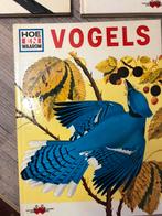 Hoe en waarom boeken jaren ‘70, Ophalen of Verzenden, Gelezen