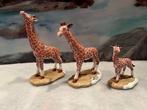 Luville:  Giraffe familie,  set of 3, Ophalen of Verzenden