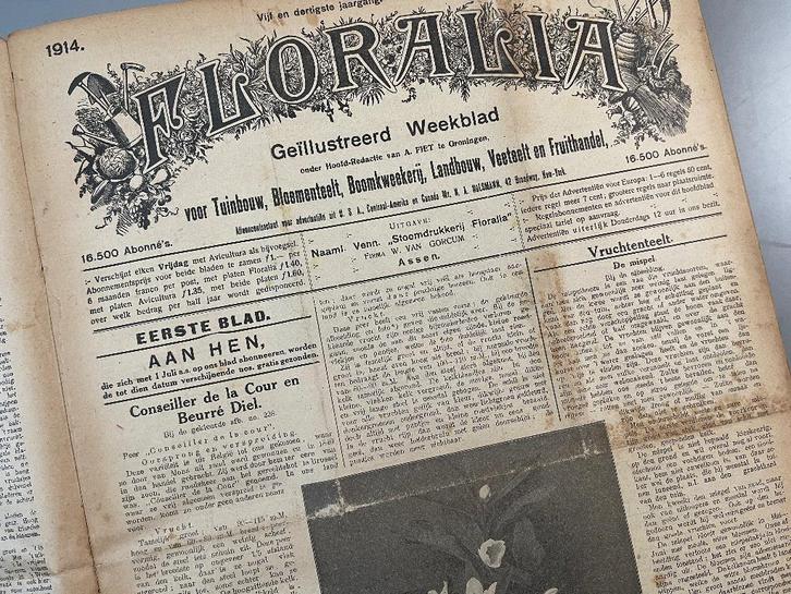 Vijf jaargangen 1914 t/m 1918 van het weekblad Floralia., Antiek en Kunst, Antiek | Boeken en Bijbels, Ophalen of Verzenden