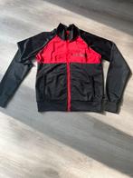 Australian jacket uni Color size xs, Kleding | Heren, Sportkleding, Maat 46 (S) of kleiner, Overige typen, Australian, Ophalen of Verzenden