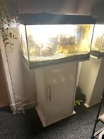 Zeewater aauarium, Dieren en Toebehoren, Ophalen of Verzenden, Zo goed als nieuw, Leeg aquarium