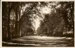 s-Gravelandseweg in Hilversum met bomen en auto, Ophalen of Verzenden, Voor 1920, Ongelopen, Noord-Holland