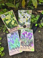 Bloembollen Mix Muscari Armeniacum, Crocus en Narcisbollen, Verzenden, Najaar, Halfschaduw, Bloembol