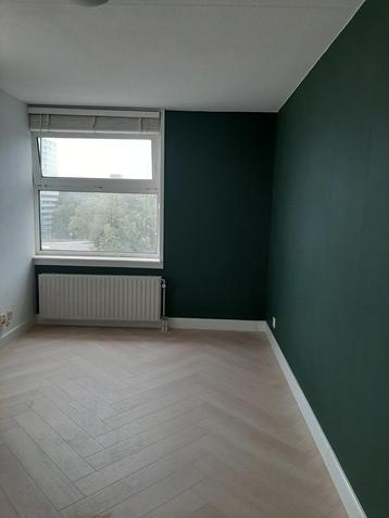 Schilderwerk, Spuitwerk, verven en lakken binnen en buiten beschikbaar voor biedingen