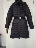 Tommy hilfeger winter jas maat S, Kleding | Dames, Jassen | Winter, Zwart, Ophalen of Verzenden, Zo goed als nieuw, Maat 36 (S)