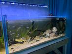 Aquarium, Ophalen, Gebruikt, Gevuld zoetwateraquarium