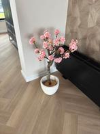Zijden Bloesemboom op echte stam | Nieuw, Huis en Inrichting, Woonaccessoires | Kunstplanten en Kunstbloemen, Ophalen, Nieuw