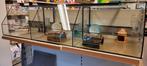 Hamster verblijf van glas, Hok, Hamster, Ophalen, Minder dan 60 cm
