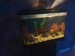 Aqarium, Dieren en Toebehoren, Vissen | Aquaria en Toebehoren, Ophalen of Verzenden, Zo goed als nieuw, Leeg aquarium