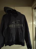 Hollister trui, Trui of Vest, Ophalen of Verzenden, Zo goed als nieuw, Jongen