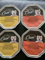 200 cesar kuipjes 1 koop allleen ophalen., Ophalen, Hond