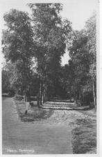 Maarn  Stamerweg., Ophalen of Verzenden, 1940 tot 1960, Ongelopen, Utrecht