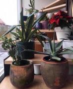 Diverse vintage terracotta bloempotten overpotten sierpotten, Rond, Binnen, Ophalen of Verzenden, Zo goed als nieuw